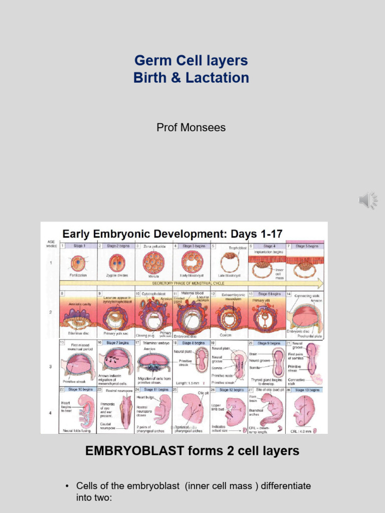 L 19 Germ Cell Discs Birth Lactation | PDF | Developmental Biology ...