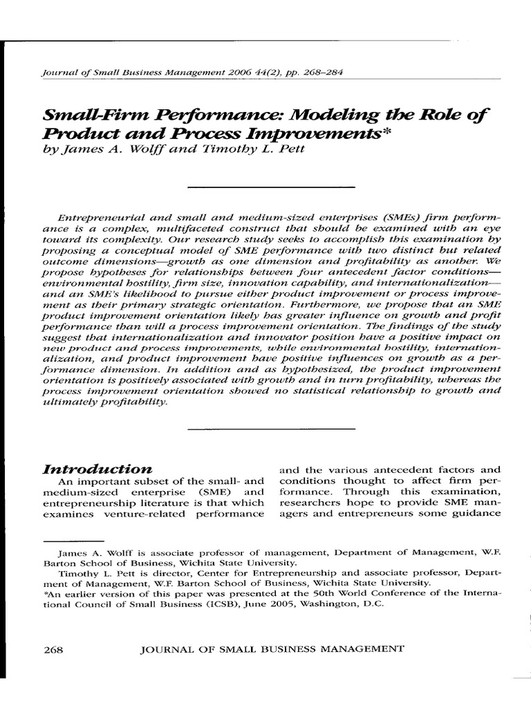 Small Firm Performance Insights | PDF