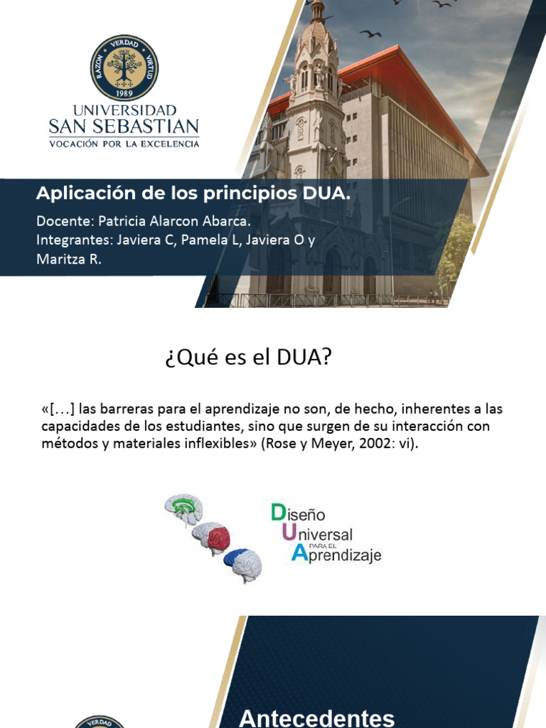 Principios DUA 3.0 en Educación | PDF | Aprendizaje | Plan de estudios