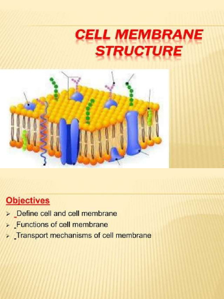 Lec#3 Cell Membrane Structure and Transport Mechanism | PDF