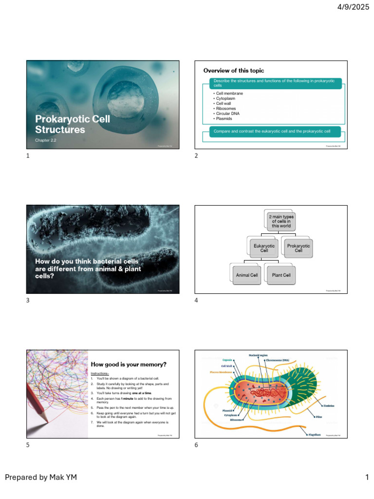 Prokaryotic Cell Structures Explained | PDF | Cell (Biology) | Prokaryote