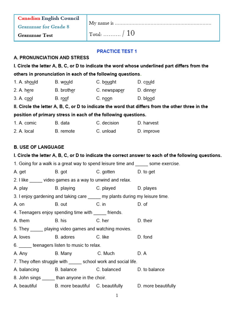 Grade 8 Grammar Practice Test | PDF | Adolescence