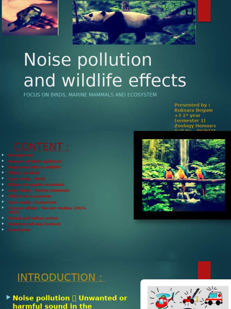 Impact of Noise Pollution on Wildlife | PDF | Whales | Natural Environment