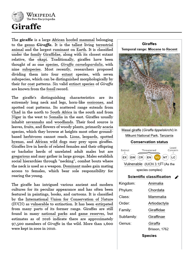 Giraffa: Scientific Classification Overview | PDF | Giraffe