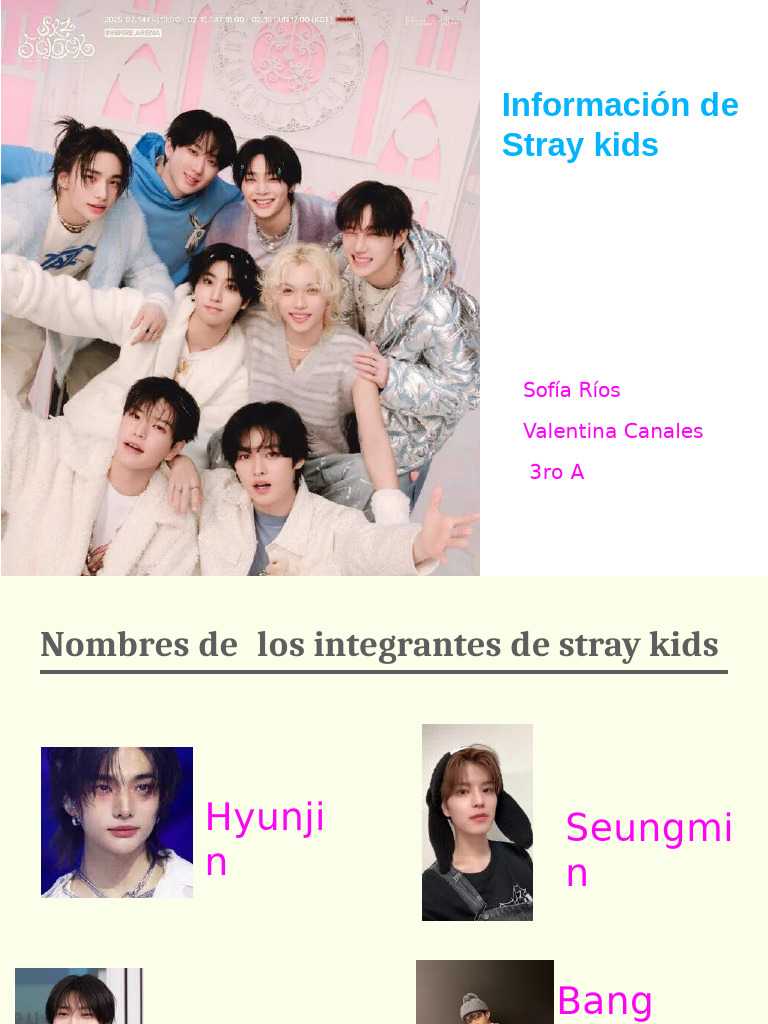 Integrantes y mascotas de Stray Kids | PDF