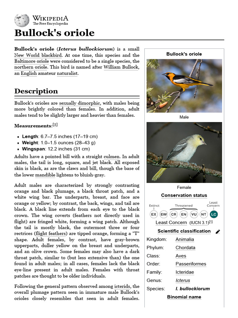 Bullock's Oriole - Wikipedia | PDF | Zoology | Birds