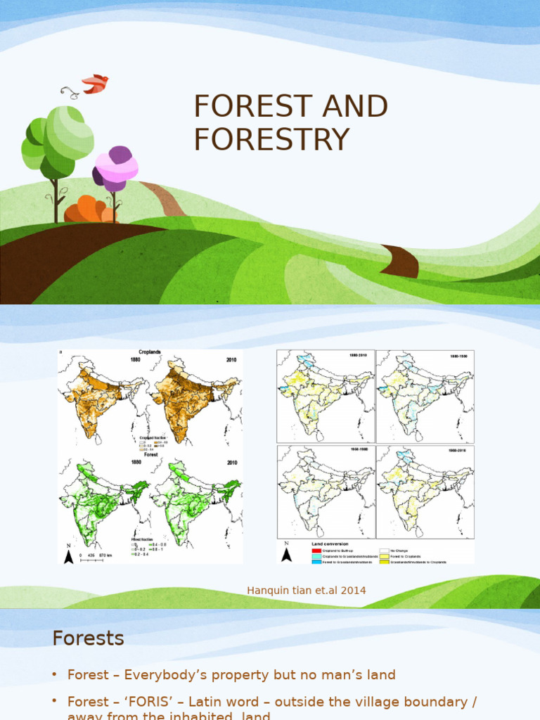 Overview of Indian Forests and Forestry | PDF | Forests | Deforestation
