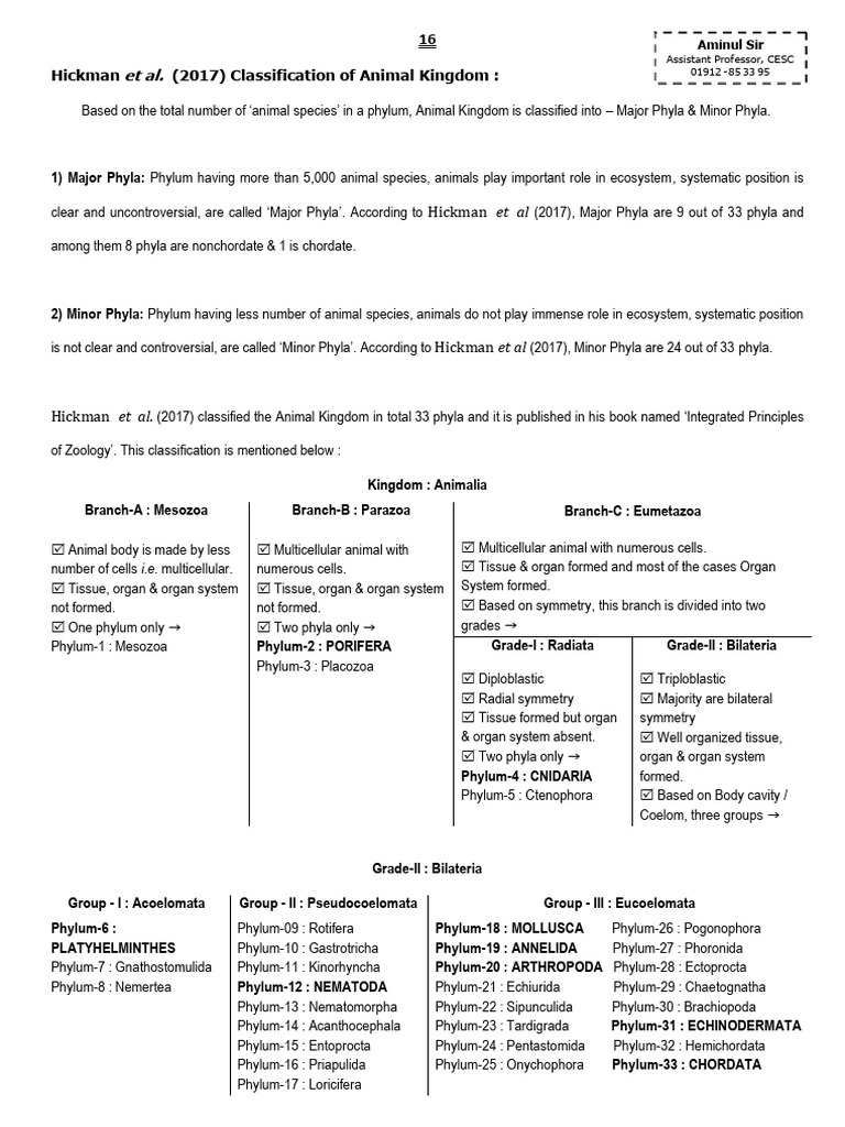 Classification of Animal Kingdom Phyla | PDF | Sponge | Mollusca