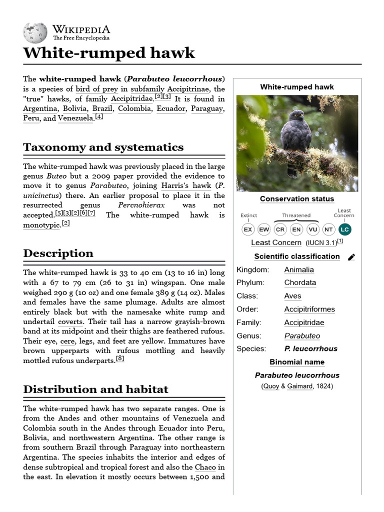 White-rumped Hawk Overview and Habitat | PDF | Birds | Ornithology