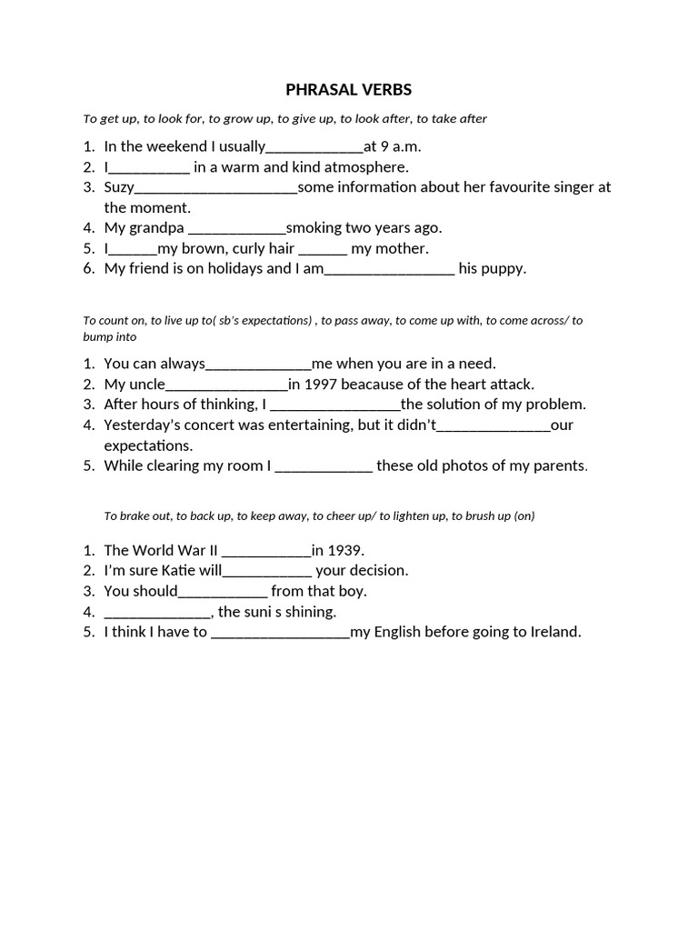 Essential Phrasal Verbs for Daily Use | PDF