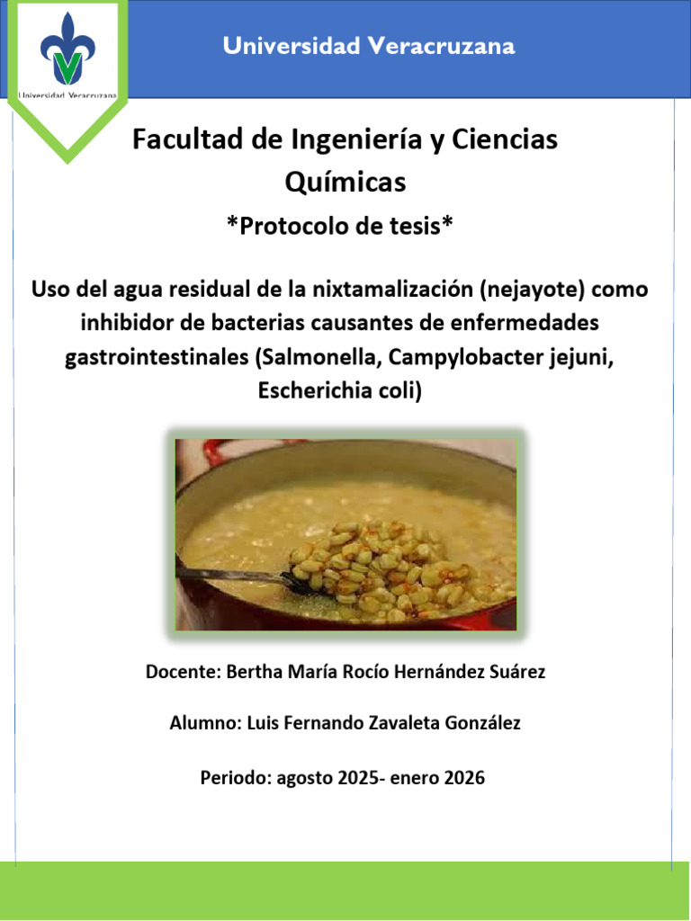 El Nejayote y Sus Propiedades Antibacterianas | PDF | Escherichia coli ...