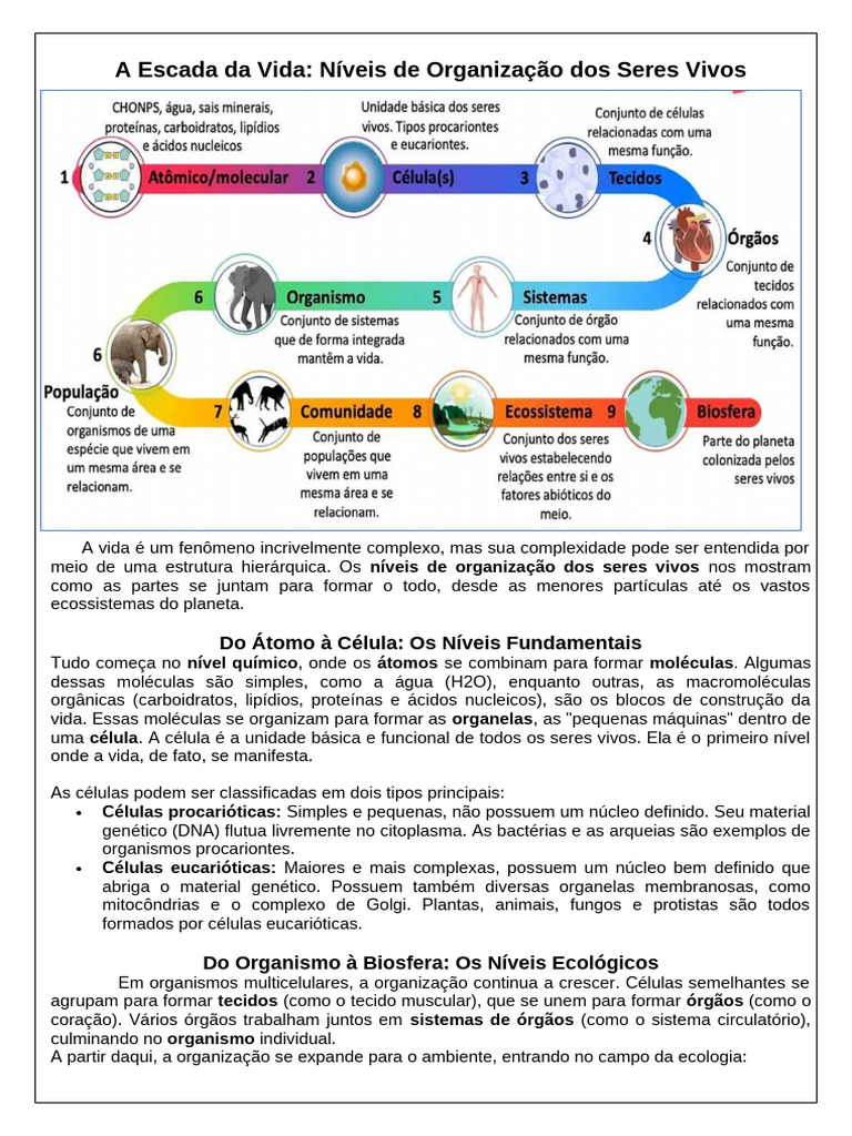 Níveis de Organização da Vida | PDF | Célula (Biologia) | Vida