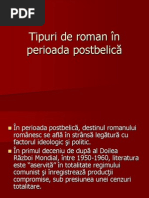 Tipuri de Roman În Perioada Postbelică