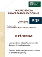 Insuficiência Pancreática Exócrina