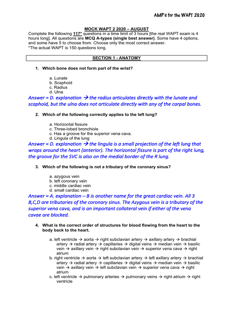 WAPT 2020 Mock Exam Questions | PDF | Action Potential | Vein