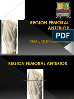 Region Femoral Anterior Jzerpa Uc