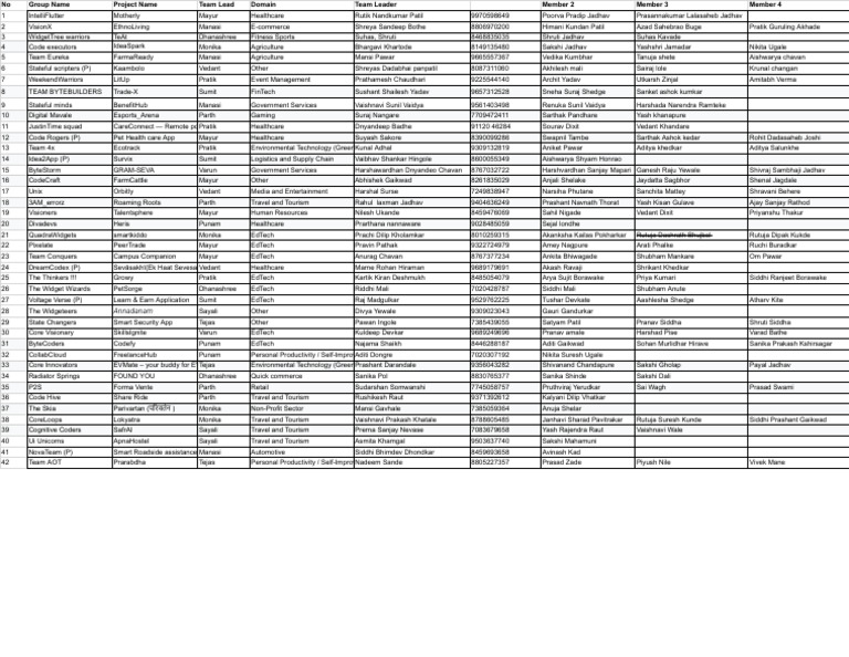 Project Teams and Domains Overview | PDF
