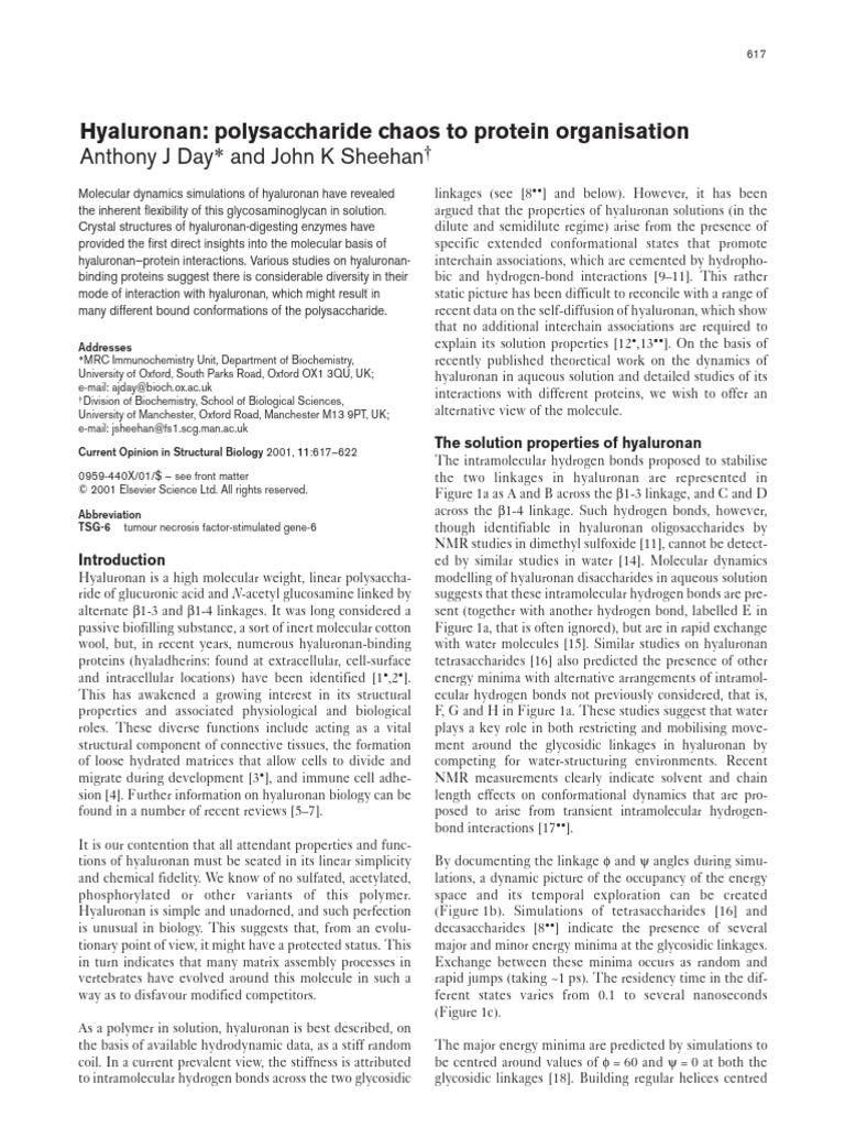 3 2001 Day - Hyaluronan Polysaccharide Chaos To Protein Organisation ...