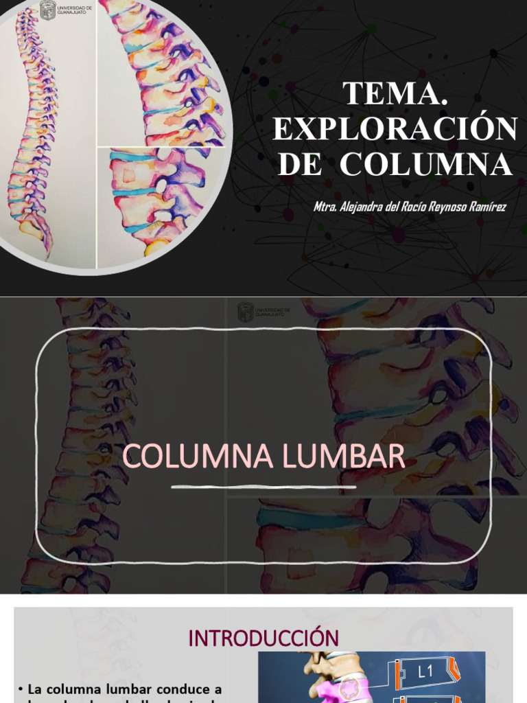 Exploración de la Columna Lumbar | PDF | Pelvis | Pie