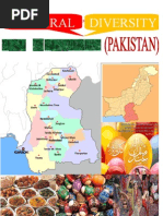 Download Cultural Diversity in Sindh by SULMAN BIN KHURSHID SN94207166 doc pdf