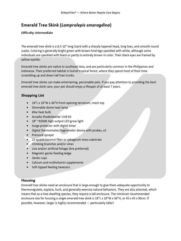 Emerald Tree Skink Care Essentials | PDF | Thermoregulation | Humidity