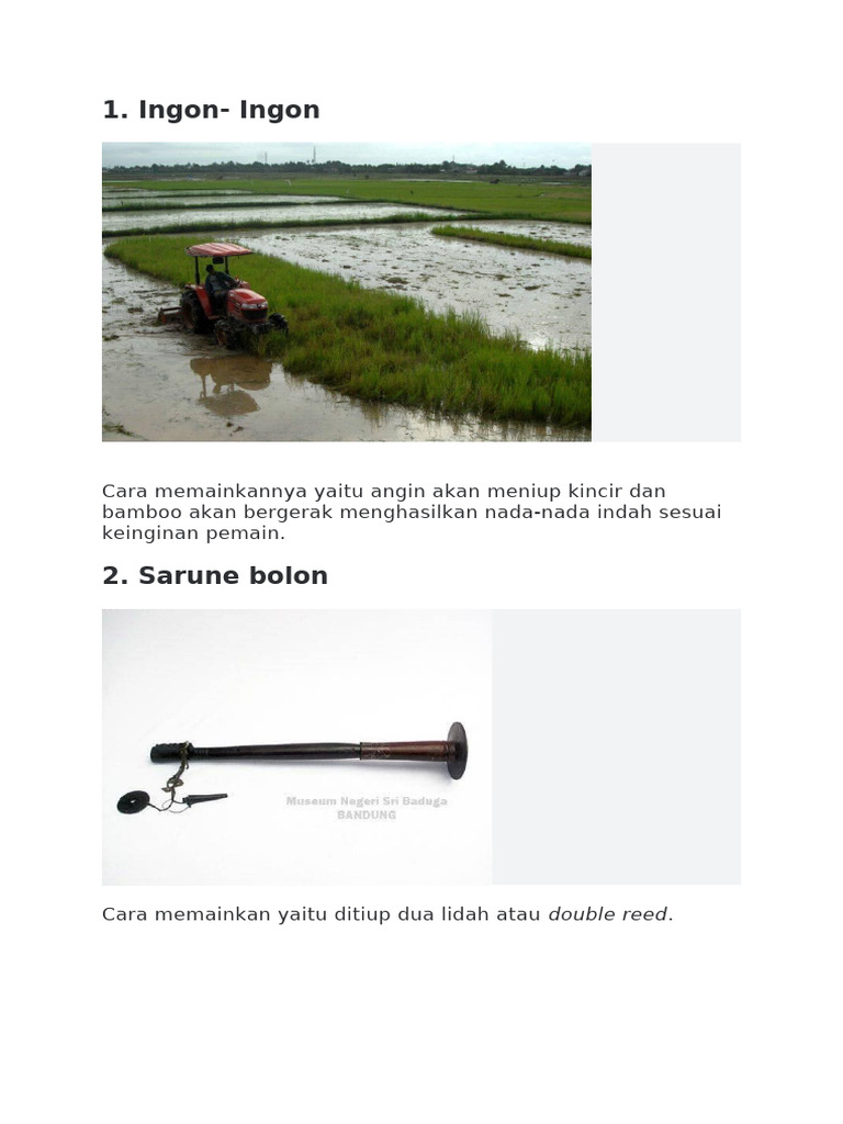 Alat Musik Tradisional Simalungun | PDF