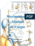 Mov Manual Cargas