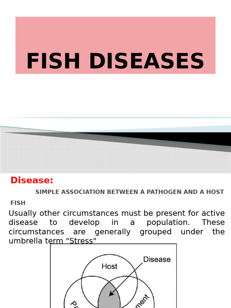 Understanding Fish Diseases and Treatments | PDF | Fish | Parasitism