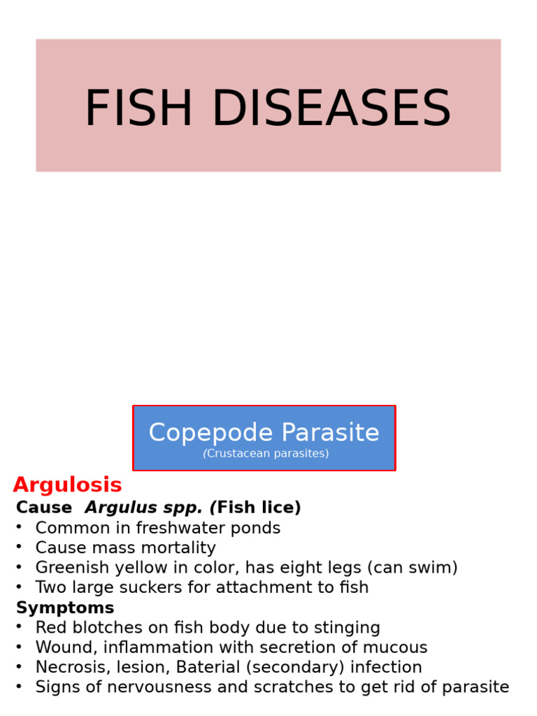 Comprehensive Guide to Fish Diseases | PDF | Infection | Virus