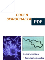 Tema 26. Diapositivas Orden Spirochaetales Auto Guard Ado]