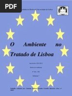 O Ambiente No Tratado de Lisboa
