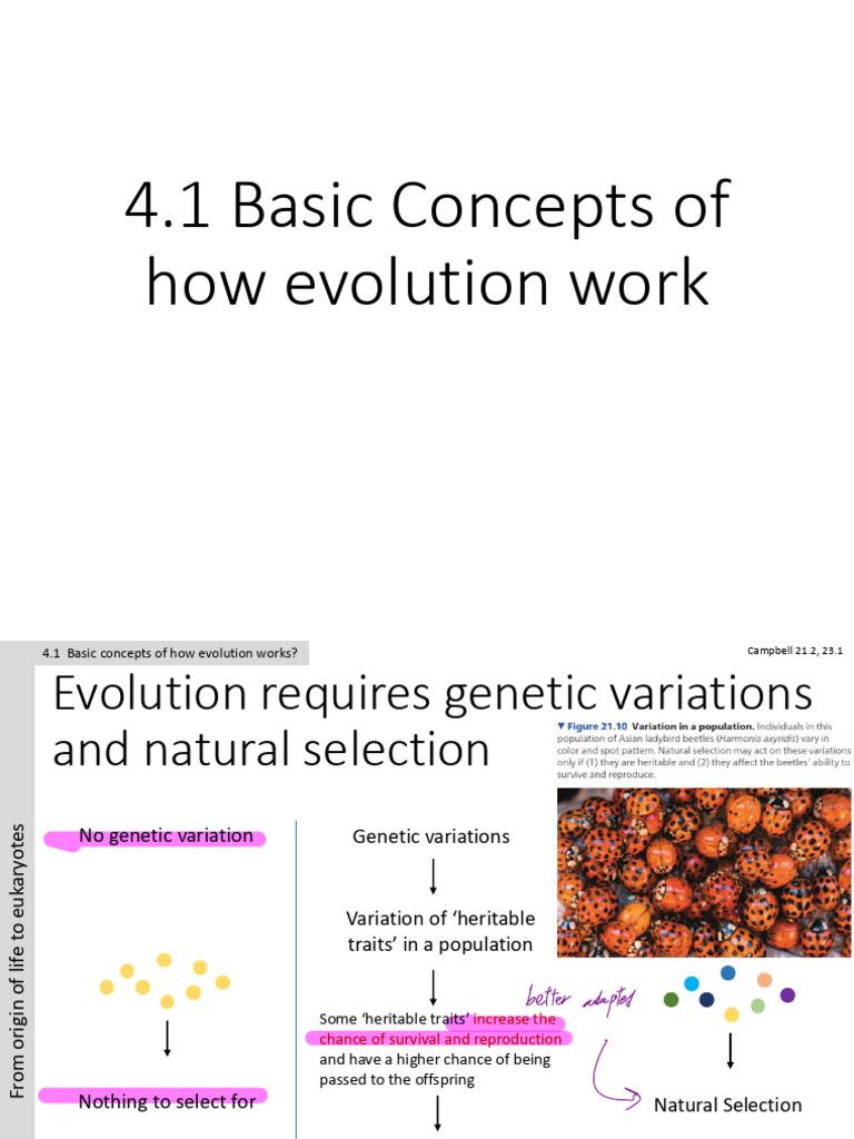 Evolution Basics: Genetic Variation & Selection | PDF | Genetics ...