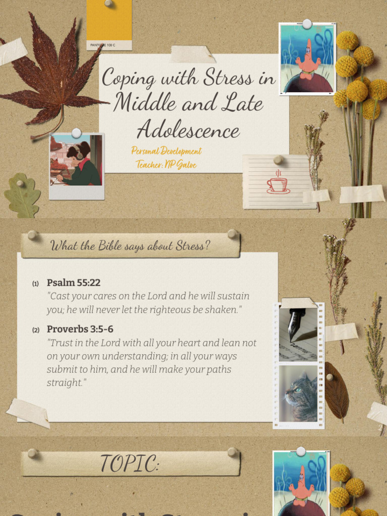 Stress Coping Strategies for Teens | PDF | Stress (Biology) | Adolescence