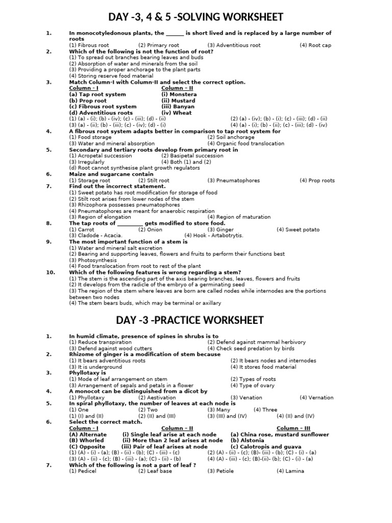 Plant Root and Stem Structure Quiz | PDF | Root | Leaf