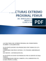 Fracturas Extremo Proximal Femur