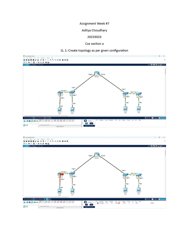 Week 7 Topology Assignment Guide | PDF