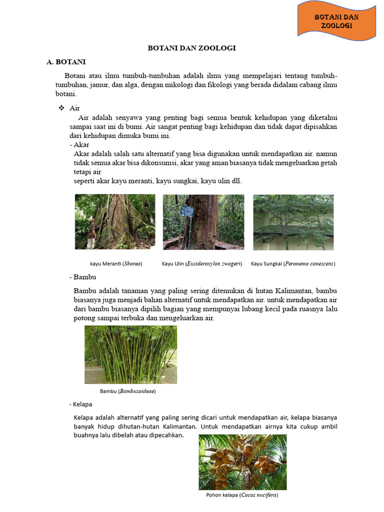 Botani dan Zoologi di Hutan Kalimantan | PDF