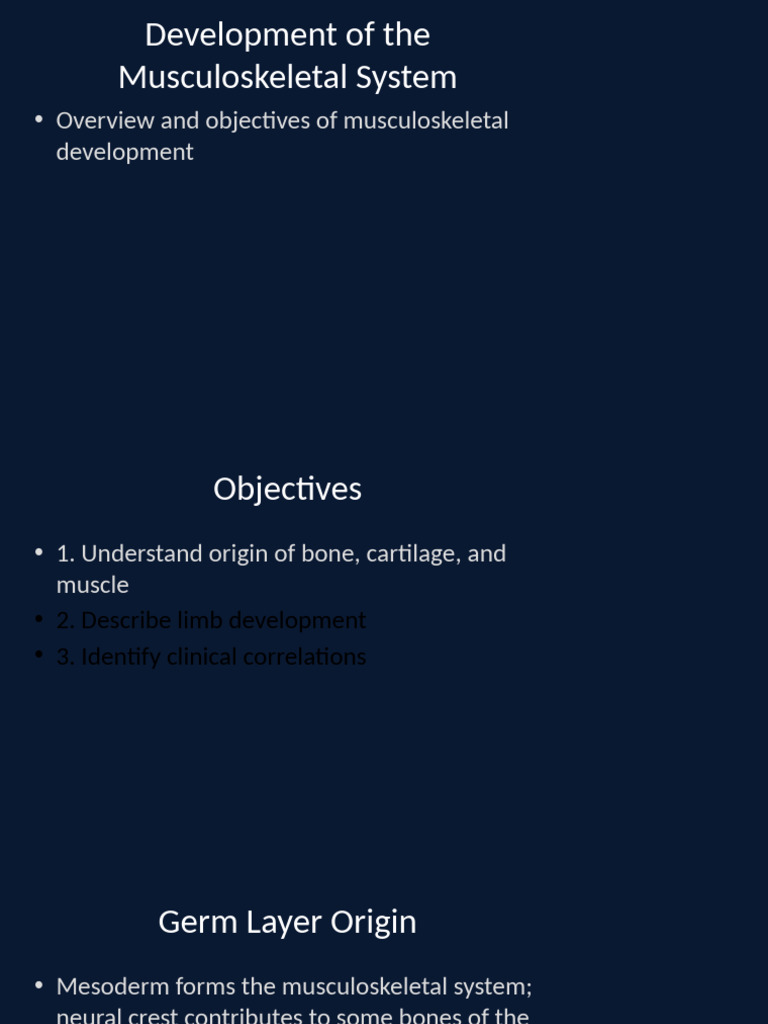 Development Musculoskeletal 60slides | PDF | Musculoskeletal System ...