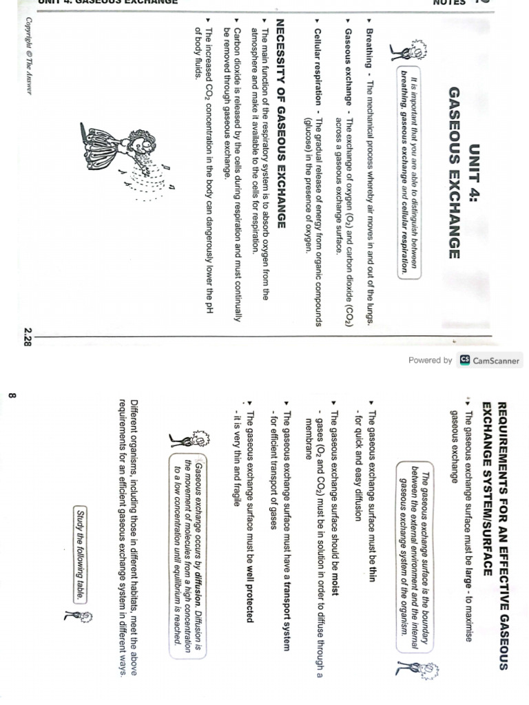 Answer Series | PDF