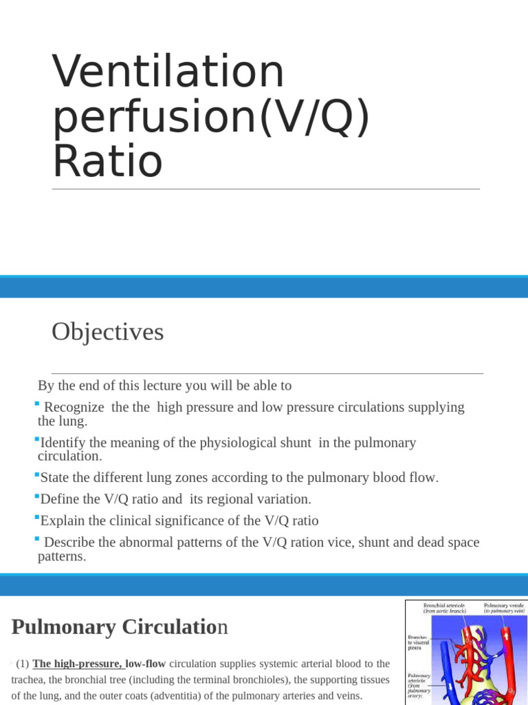 Understanding V/Q Ratio in Pulmonary Circulation | PDF | Circulatory ...