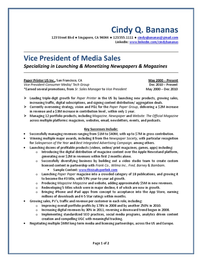 Vice President of Sales Sample Resume From Freedom Resumes | PDF ...