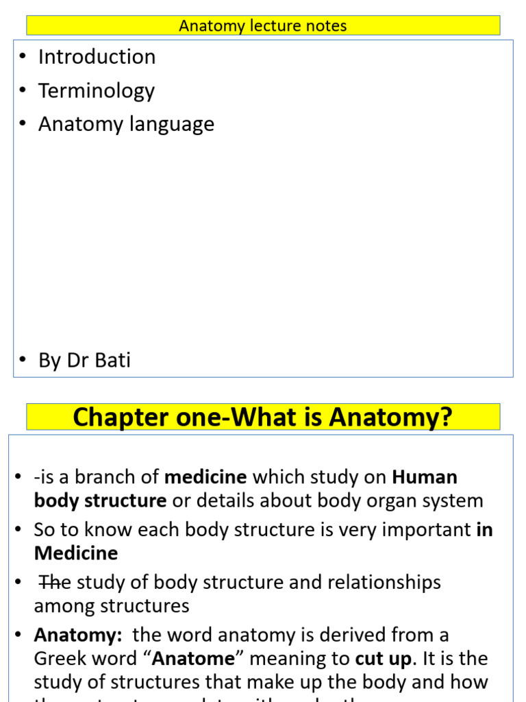 Anatomy Lecture Notes Overview | PDF | Epithelium | Respiratory Tract