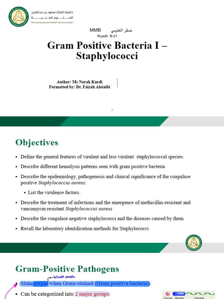 Staphylococcus: Features and Infections | PDF | Staphylococcus Aureus ...