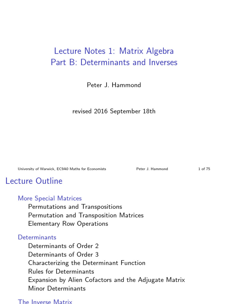 Understanding Matrix Minors | PDF | Determinant | Matrix (Mathematics)