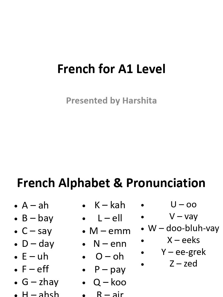 French Basics for A1 Learners | PDF | Grammatical Gender ...