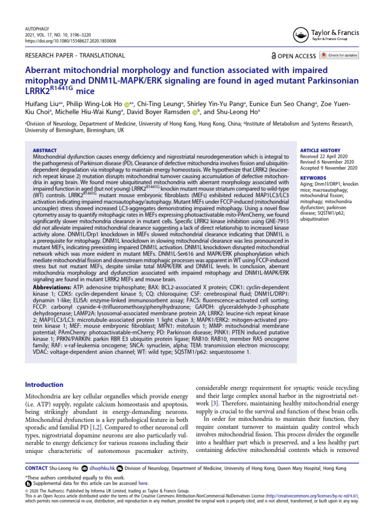 Mitochondrial Dysfunction in LRRK2 PD Mice | PDF | Mitochondrion ...