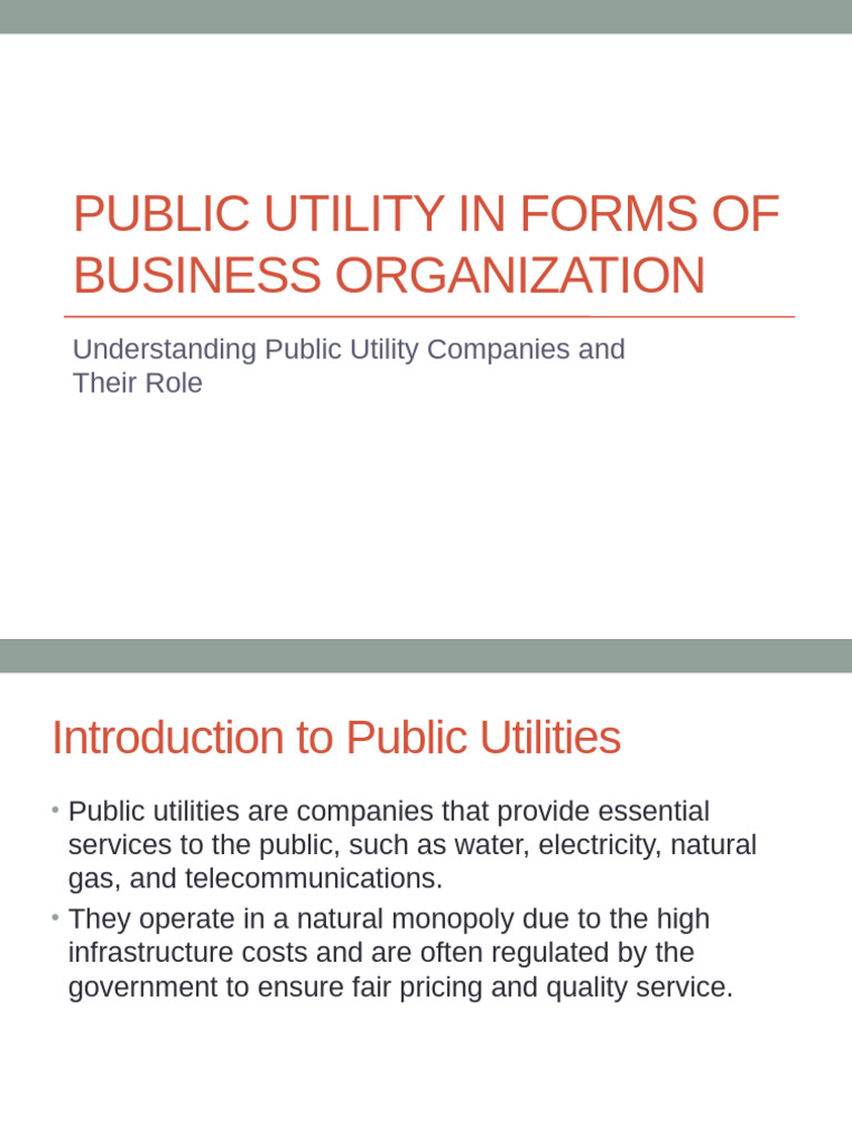 Public Utility Forms of Business Organization | PDF