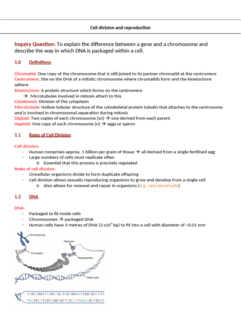 Cell Division and Reproduction | PDF | Mitosis | Chromosome
