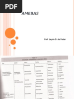 Amebas