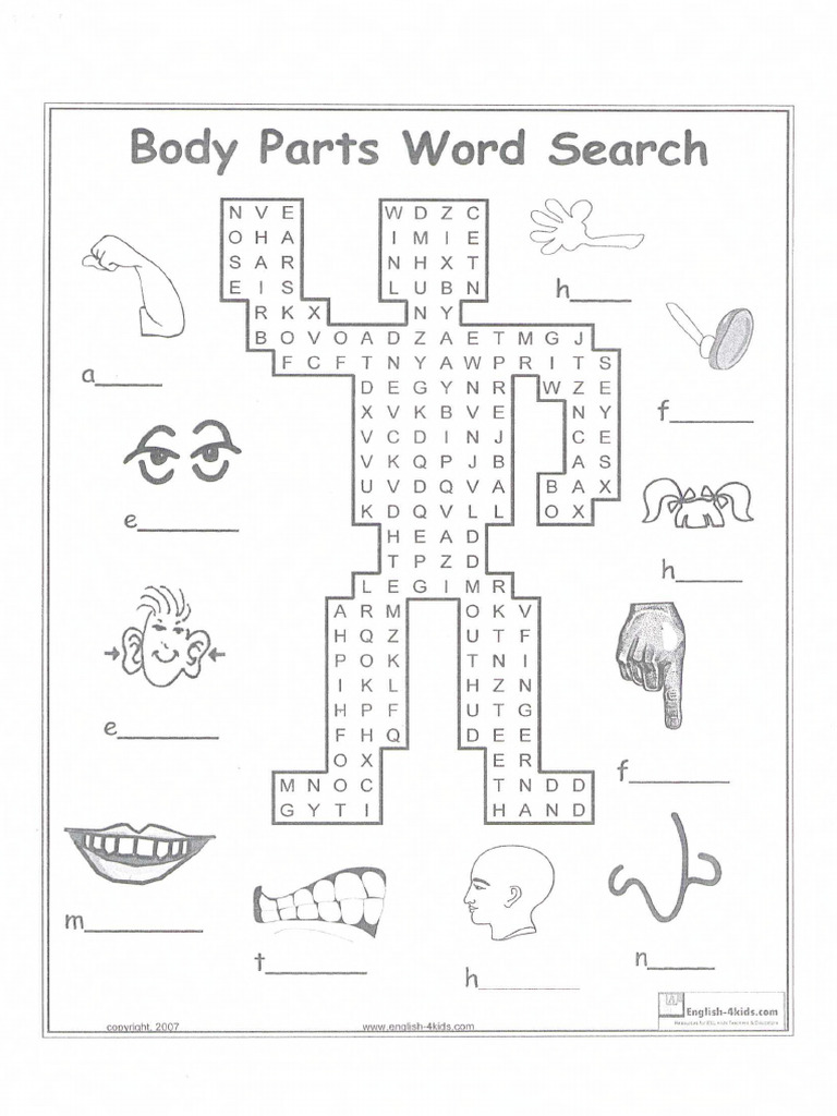 Body Parts Word Search Puzzle | PDF